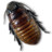 Caca Roach Icon